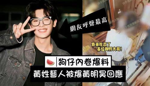 刘大锤最新爆料麦玲,麦玲惊人内幕曝光